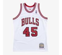 Chicago Bulls Mitchell & Ness Authentic Jersey Michael Jordan 1994-95