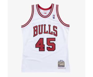 Chicago Bulls Mitchell & Ness Authentic Jersey Michael Jordan 1994-95