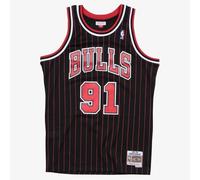 Chicago Bulls Mitchell & Ness Swingman Jersey Alternate Dennis Rodman 1995-96