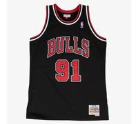 Chicago Bulls Mitchell & Ness Swingman Jersey Alternate Dennis Rodman 1997