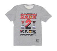 Chicago Bulls NBA Champions Tee, male, Mitchell & Ness, T-Shirts, Gray, M, Tops M