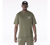 CHICAGO BULLS Unisex Short Slee_Chicago T-Shirt, Green Med, S EU