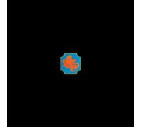 Chicago - Chicago Transit Authority (Red Vinyl) [VINYL]