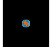 Chicago - Chicago Transit Authority (Red Vinyl) [VINYL]