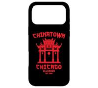 Chicago Chinatown Illinois Chinese American Loop South Side Case for iPhone 17 Pro Max