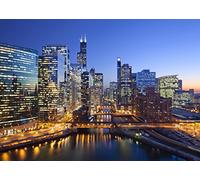 chicago city skyline backdrop Vinyl cloth Computer Printed party wedding Backgrounds yz4003