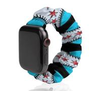 Chicago Flag Baseball Watch Band Compatible with IWatch Bands Series 6 5 4 3 2 1 Elastic Replacement Wristband