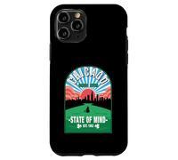 Chicago Green River Irish Celebration St. Patrick's Day Case for iPhone 11 Pro