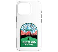 Chicago Green River Irish Celebration St. Patrick's Day Case for iPhone 16 Pro