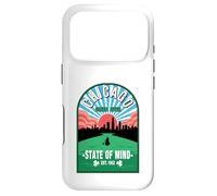 Chicago Green River Irish Celebration St. Patrick's Day Case for iPhone 17 Pro