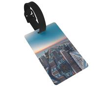 Chicago Illinois USA 1 Printed Small Luggage Tags Portable Bag ID Holders with Adjustable Strap for Travel Gear
