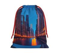 Chicago Night Print Present Bag, Reusable Organizer For Holiday Celebrations, Xmas Party Favors