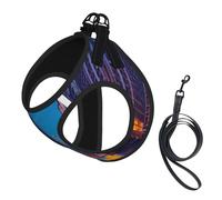 Chicago Night Print Small Dog Harness with Leash Set, No Escape Easy Walk Puppy Harnesses for Training Walking