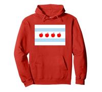 Chicago Teachers Flag Red For Ed Fund Our Future Pullover Hoodie