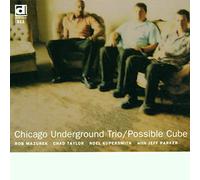 CHICAGO UNDERGROUND TRIO - Possible Cube