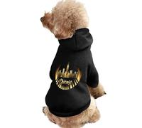 Chicago Vinyl Skyline Warm Dog Hooded Sweatshirt with Hat Soft Pet Pullover Clothes for Small Medium Large Pets