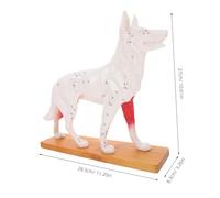 CHICAMPERA Dog Acupuncture Model Material Canine Anatomy Teaching Tool for Students School Training Aid Detailed Animal Acupoint Study Model