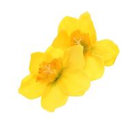 CHICAMPERA Elegant Yellow Narcissus Hairpin for Women Side Bangs Hair Clip with Ancient Style Tames Loose Strands Decorative Bridal Barrette for Weddings and Birthday Parties