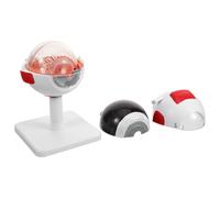CHICAMPERA Eye Anatomy Model, 3x Enlarged Pvc Eyeball Model, White, Portable Lightweight, Shows Anatomical Structure the Eyeball, for Hospital Display and Research