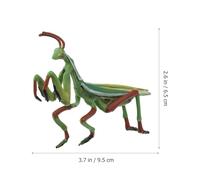 CHICAMPERA Mantis Life Cycle Educational Model Early Learning Insect for Interactive Nature Exploration Teaching Aid for Preschool Science and Storytelling