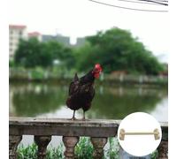 CHICAMPERA Medium Large Parrot and Chicken Bird Stand Natural Wood Perch Platform Safe Eco-friendly Table Playstand for Indoor Outdoor Cage Accessories