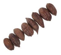 CHICAMPERA Parrot Chewing Accessories 8Pcs Natural Dried Fruit Foraging for Budgie and Cockatiel, Suitable for Cage Birds to Beak Health and Reduce Stress