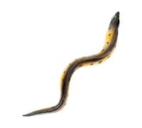 CHICAMPERA Realistic Sea Eel Learning Model Adorable Toy Figure for Boy Girl for Aquarium Decoration and Educational Play Animal
