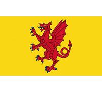 Chicbanners 2 x Somerset County Flag 100mm wide Gloss Vinyl Bumper Sticker Self Adhesive Gloss Sticker 100mm x 42mm