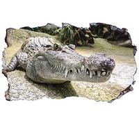 Chicbanners Nile Crocodile 3D V104 Magic Window Wall Sticker Self Adhesive Poster Wall Art size 1000mm wide x 600mm deep (large)