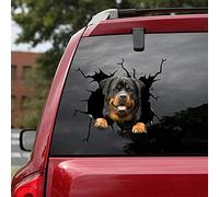 ChichuangK Funny Rottweiler crack 3D car sticker decoration, decal, SUV window glass sticker, personalized refrigerator toilet GJ0000152-899-1705191791