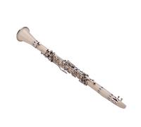 CHICIRIS 17 Key Bb Clarinet, ABS Construction, Stylish Design Carrying Case, Gloves, Cleaning Cloth, and More, Ideal for Beginners and Lovers of Clarinet, Classical and Jazz Music (White)