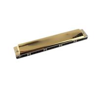 CHICIRIS 24 Hole Tremolo Harmonica A Key, Phosphor Bronze Reeds Metal Harmonica, ABS Resin Body Ti Gold Stainless Steel Covers, for Beginners Children Practice (A#)