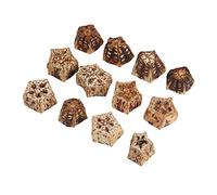 CHICIRIS Bird Chewing Blocks for Parrots Fun Multifunctional Beak Grinding Toys Safe Natural Dried Nuts for Lovebirds Budgies 60pcs