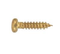 CHICIRIS Chrome Assembly Screws for Guitar voices: 50 -piece Waitress Screws for Guitar Repair Parts and Tuner Replacement (Gold)