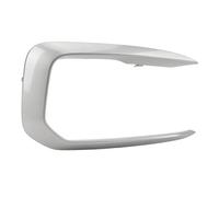 CHICIRIS Front Bumper Grille Trim Clasp Front Bumper Vent Trim ABS Replacement for 1 Series F20 F21 LCI 2014-2019 with OEM Design Precise Fit (Right: 51118070324)