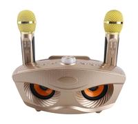 CHICIRIS Karaoke Speaker, Portable Bluetooth Speaker with Two Microphones for Home Party, 3000mAh Battery, Enjoy Family KTV Nights (Gold)