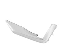 CHICIRIS OEM Compliant Front Bumper Moulding ABS Replacement Trim for Vehicle Fitment 1 X Unit (Left 87829992)