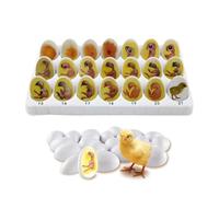 Chick Embryo Growth Model,Chick Life Cycle Exploration Set, 21 Plastic Eggs,Chick Egg Hatching Development Process Anatomical Diagrams,for Study Teaching