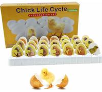 Chick Embryo Growth Model, Chick Life Cycle Exploration Set, Anatomy Drawings, Simulation of The Whole Process of Chick Embryo Development, for Study Teaching, 21 Plastic Eggs
