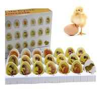 Chick Embryo Growth Model with 21 Plastic Eggs, Chick Life Cycle Exploration Set, Simulation of The Whole Process of Chick Embryo Development for Study Teaching