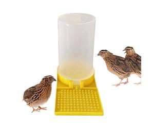 Chick Feeder Large Capacity Clear No Waste Quail Feeder