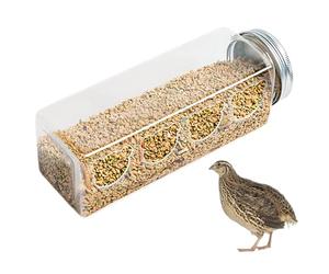 Chick Feeder - PET 17.2x5.5cm 4 Ports No Chicken Feeder For Brooder,Portable Parrost Feeders Cage Accessories For Quail Parrots Budgies Basilisks Finches