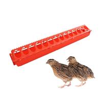 Chick Feeder Poultry Drinking Trough