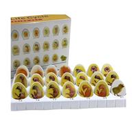 Chick Life Cycle Exploration Set,Simulation of The Whole Process of Chick Embryo Development for Study Teaching,Chick Embryo Growth Model with 21 Plastic Eggs