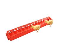 Chick Waterer and Feeder Poultry Food Brooding Trough