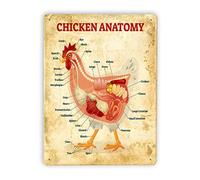 Chicken Anatomy Metal Signs Vintage Chicken Knowledge Poster Animal Encyclopedia Farm Decor Plaque Home Kitchen Wall Decoration Gift 8x12 Inch