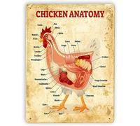 Chicken Anatomy Metal Vintage Knowledge Poster Animal Encyclopedia Farm Decor Plaque Home Kitchen Wall Decoration Gift Interesting Of Iron Tin Sign 8x12 Inch