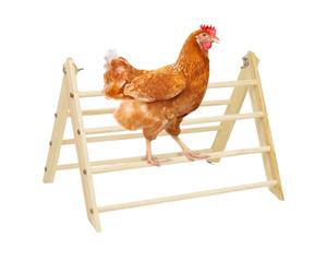 Chicken Coop Rest Pole - Chicken Coop Wooden Perch Space-Saving Stable for Outdoor Use Poultry Keeping Large Birds Garden Farm Backyard Coop Chicken Ladder Food Water Can Be Assembled with FR