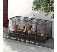 Chicken Coops for 6 Chickens Made of Galvanized Square Tube for Outdoor and Yard Farm Use Easy to Install(Size:130 * 58 * 62cm,Color:With Egg Tray)