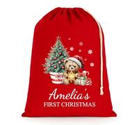 Chicken Craft Personalised Baby's First Christmas Santa Sack with Custom Name - Red - My 1st Xmas Keepsake Gift for Boys or Girls (Teddy Star, Medium)